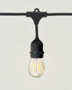 Ambience Pro LED Plug-in String Lights